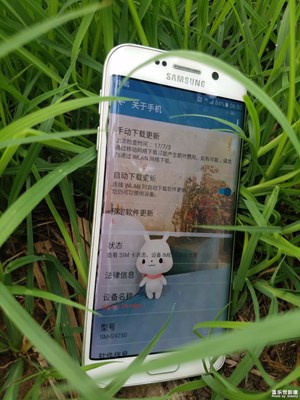 首款曲屏服役兩周年零兩個(gè)月