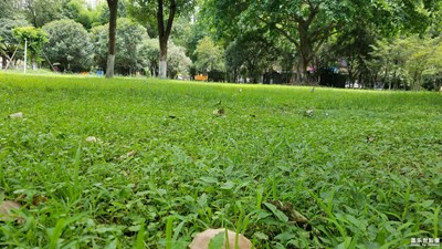 【蓋樂世社區(qū)2周年-微距  】 + 綠色