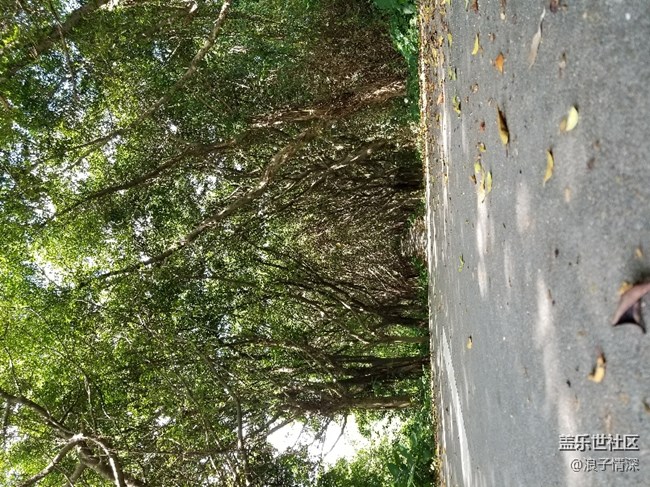 移動定制版拍照疑問