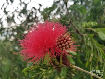 忙里偷閑，江邊散步，隨手拍