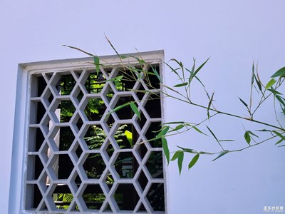 【蓋樂世社區(qū)2周年-靜】+歲月靜好