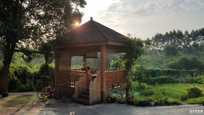 【蓋樂世社區(qū)2周年-靜  】+清晨