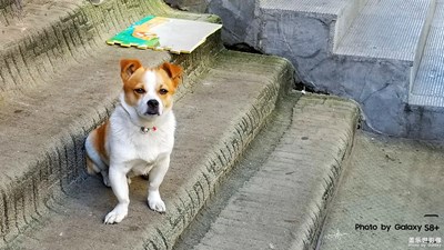 【蓋樂世社區(qū)2周年-靜  】 +這一刻......