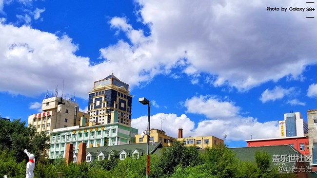 高社長哈爾濱粉絲座談會花絮