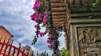 【蓋樂世社區(qū)兩周年-靜】+思緒的暫停