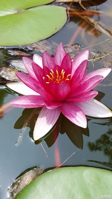 濟(jì)南風(fēng)景