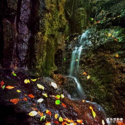 請(qǐng)大家指教