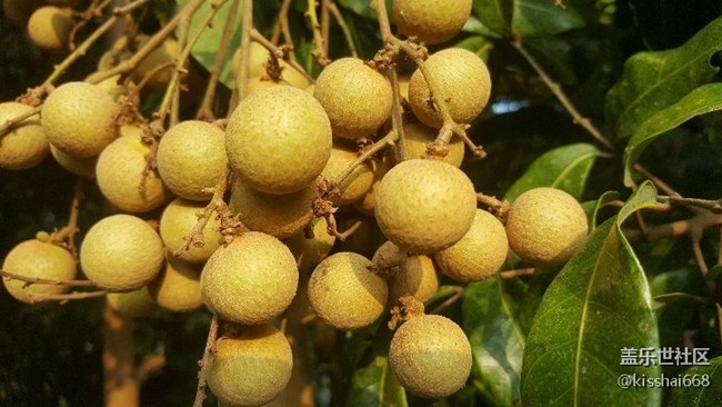 問(wèn)下有那些S8的APP可以直接在NOTE5上安裝？