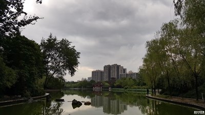 陰雨天下的豐慶公園