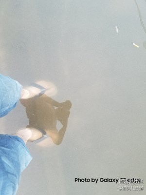 站在路牙等擺渡