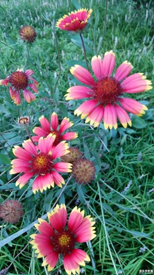 云淡風(fēng)輕的日子 +秋高