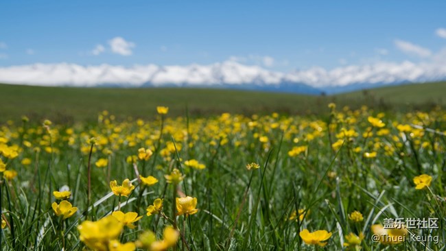 伊犁！懷念，不如一見（2）