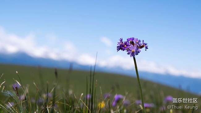 伊犁！懷念，不如一見（2）