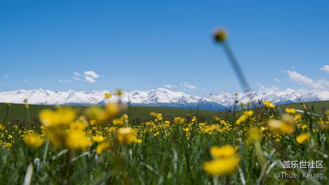 伊犁！懷念，不如一見（2）