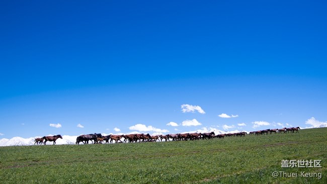 伊犁！懷念，不如一見（2）