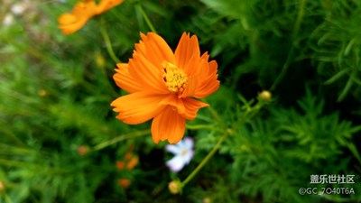 浐河上游的那些美景