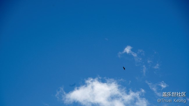 伊犁！懷念，不如一見（2）