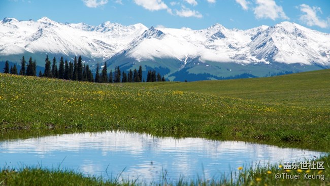 伊犁！懷念，不如一見（2）