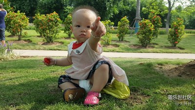 今早太陽沒那么大，隨便拍了幾個