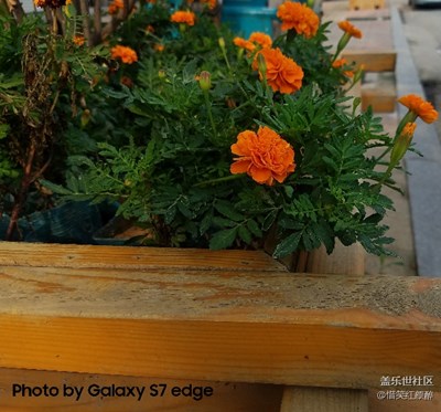 人之溫馨家之港灣