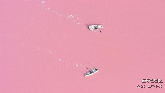 女生的最愛(ài) Pink粉色 女生的最愛(ài) Pink粉色