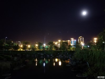 心血來(lái)潮·隨手拍