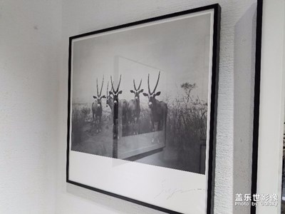 上海杉本博司展