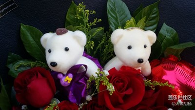 《致愛七夕》+特別的愛給特別的你