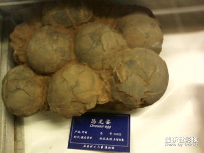 昨天看社區(qū)活動(dòng)有個(gè)博物館的，當(dāng)年的博物館照來(lái)一波