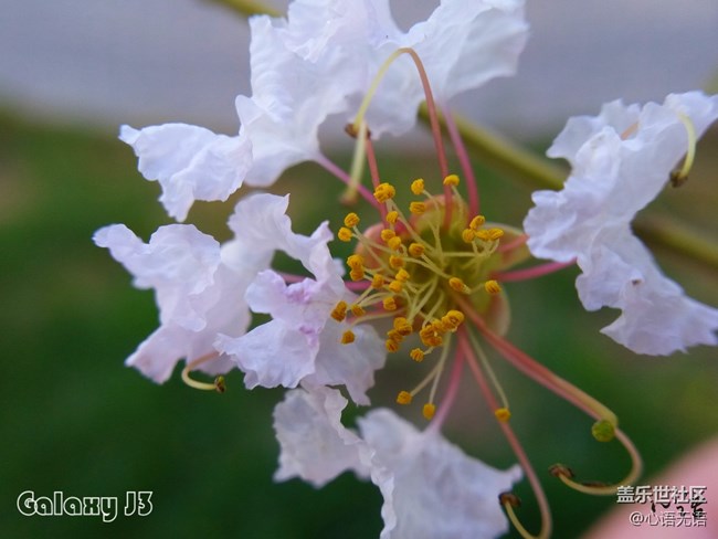 圖說(shuō)三星Ga;axy J3