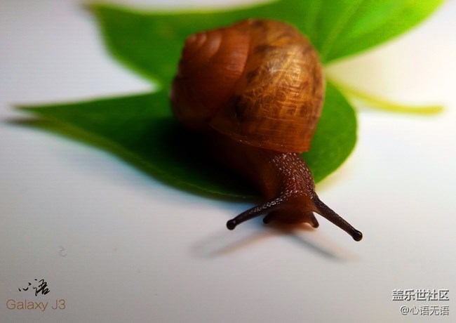 圖說(shuō)三星Ga;axy J3