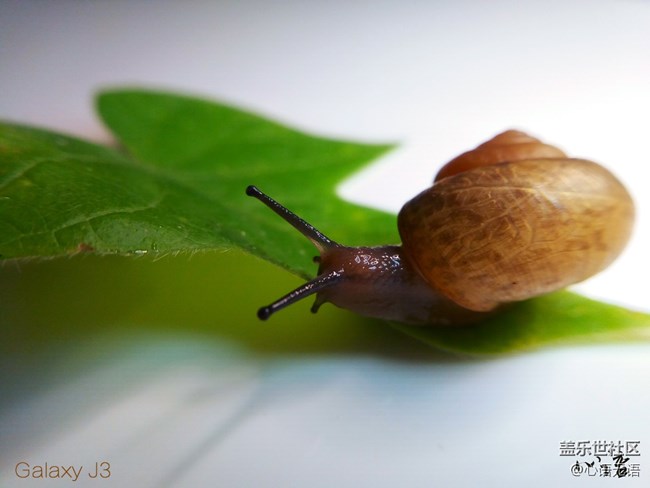 圖說(shuō)三星Ga;axy J3