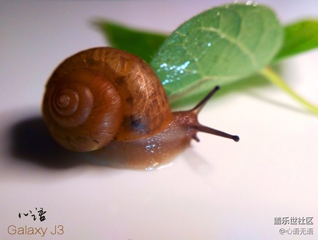 圖說(shuō)三星Ga;axy J3