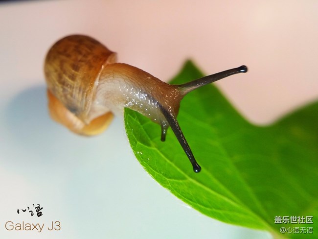 圖說(shuō)三星Ga;axy J3