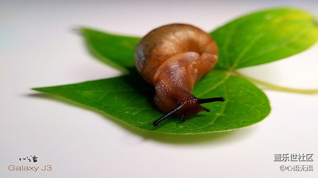 圖說(shuō)三星Ga;axy J3