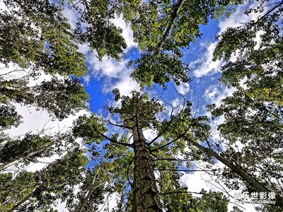 秋天悄悄來(lái)臨