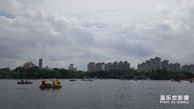 雙休日，長(zhǎng)風(fēng)公園一日游