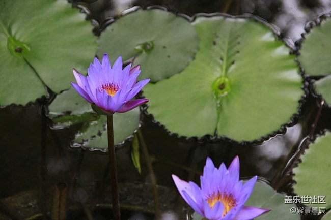 很久前拍的南京風(fēng)景