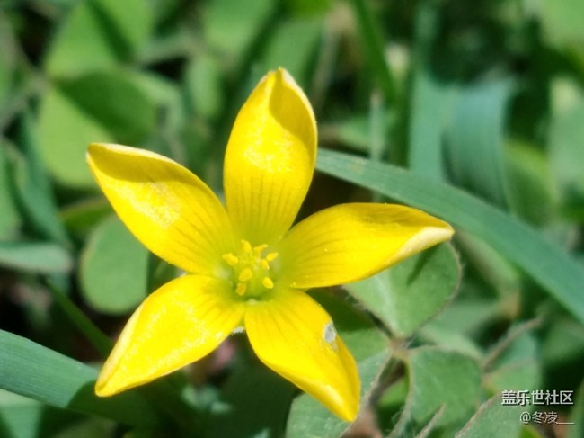 S8系列的是不是沒有超級(jí)微距模式了，以前S7是有的啊