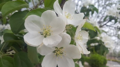 感覺(jué)沒(méi)拍好，請(qǐng)大家指點(diǎn)