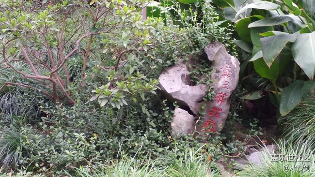 記上海大觀園游園活動