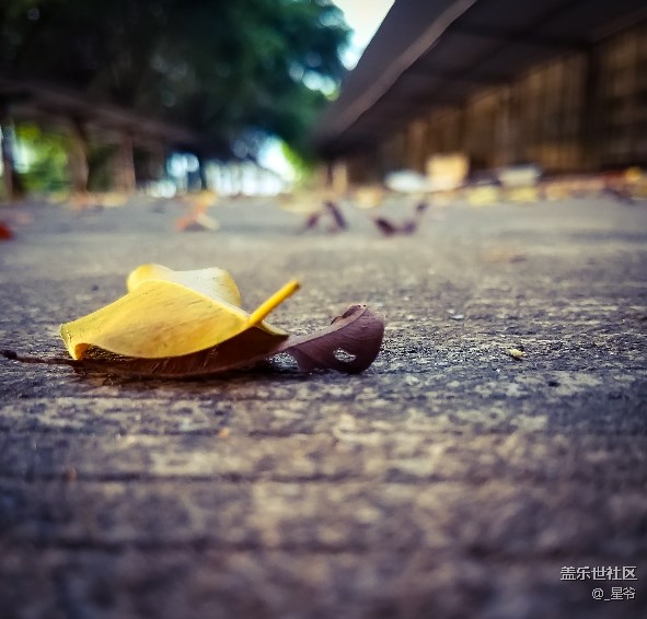 每周精帖匯【第71期：蓋樂世Note8正式開啟預(yù)約！】