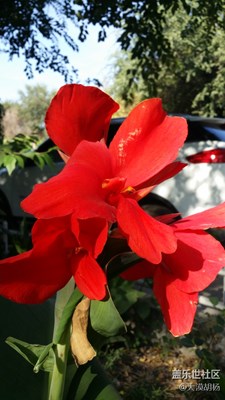 《色彩》+多姿多彩