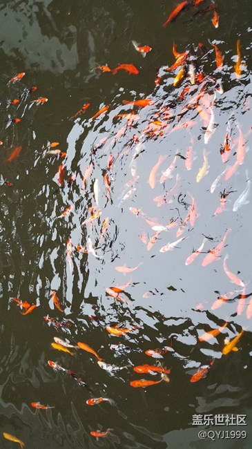 上海大觀園一日游