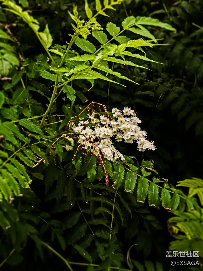 特別的日子，給特別的“你”