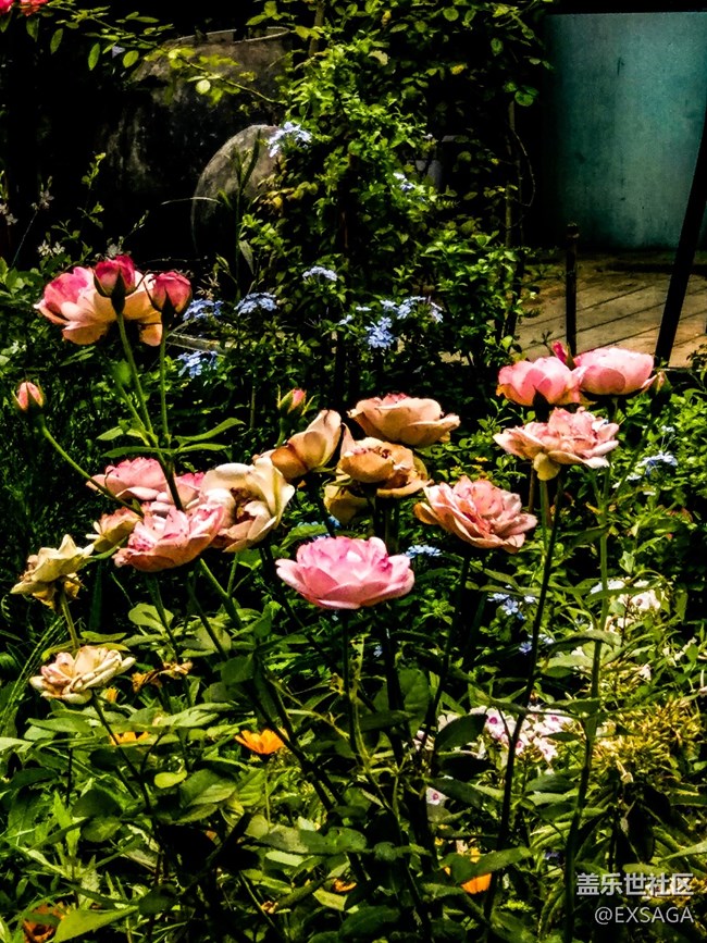 特別的日子，給特別的“你”