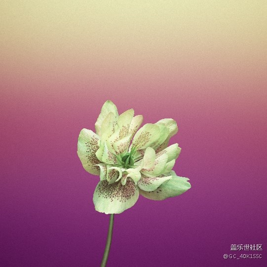 蘋果8和蘋果x高清壁紙