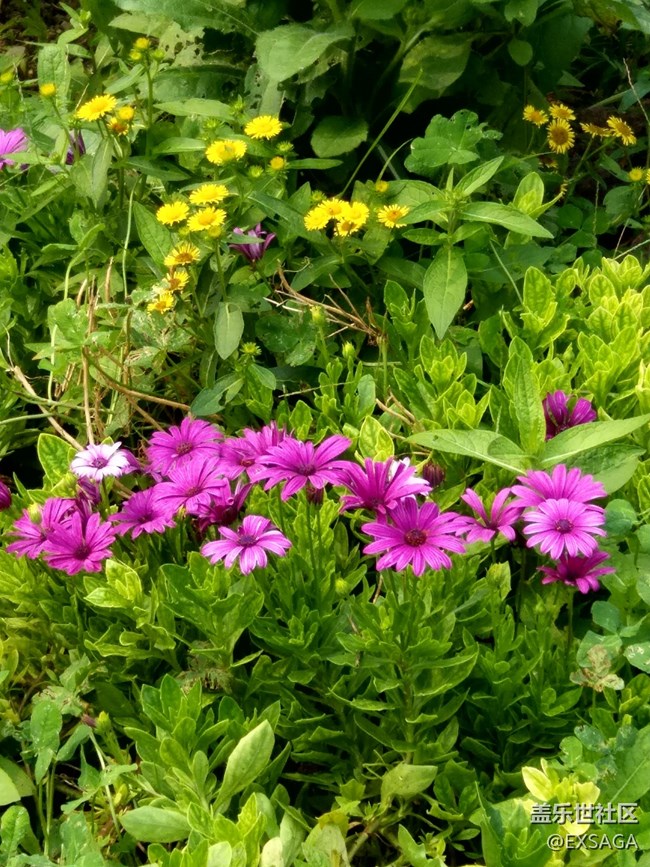 特別的日子，給特別的“你”