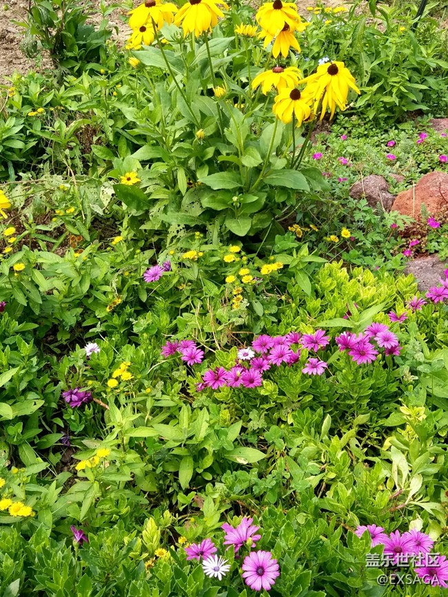 特別的日子，給特別的“你”