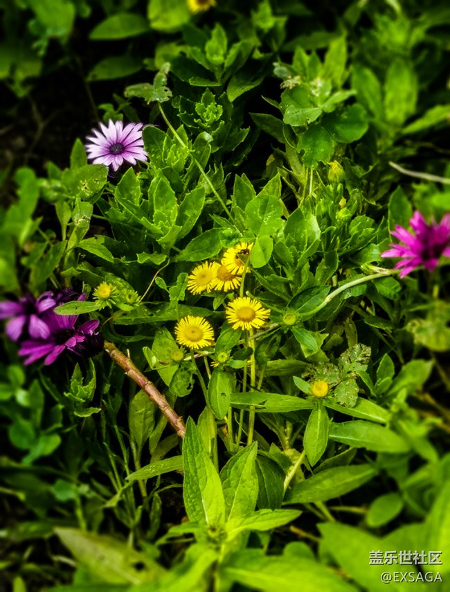 特別的日子，給特別的“你”